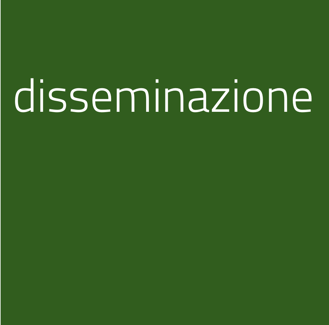 Disseminazione