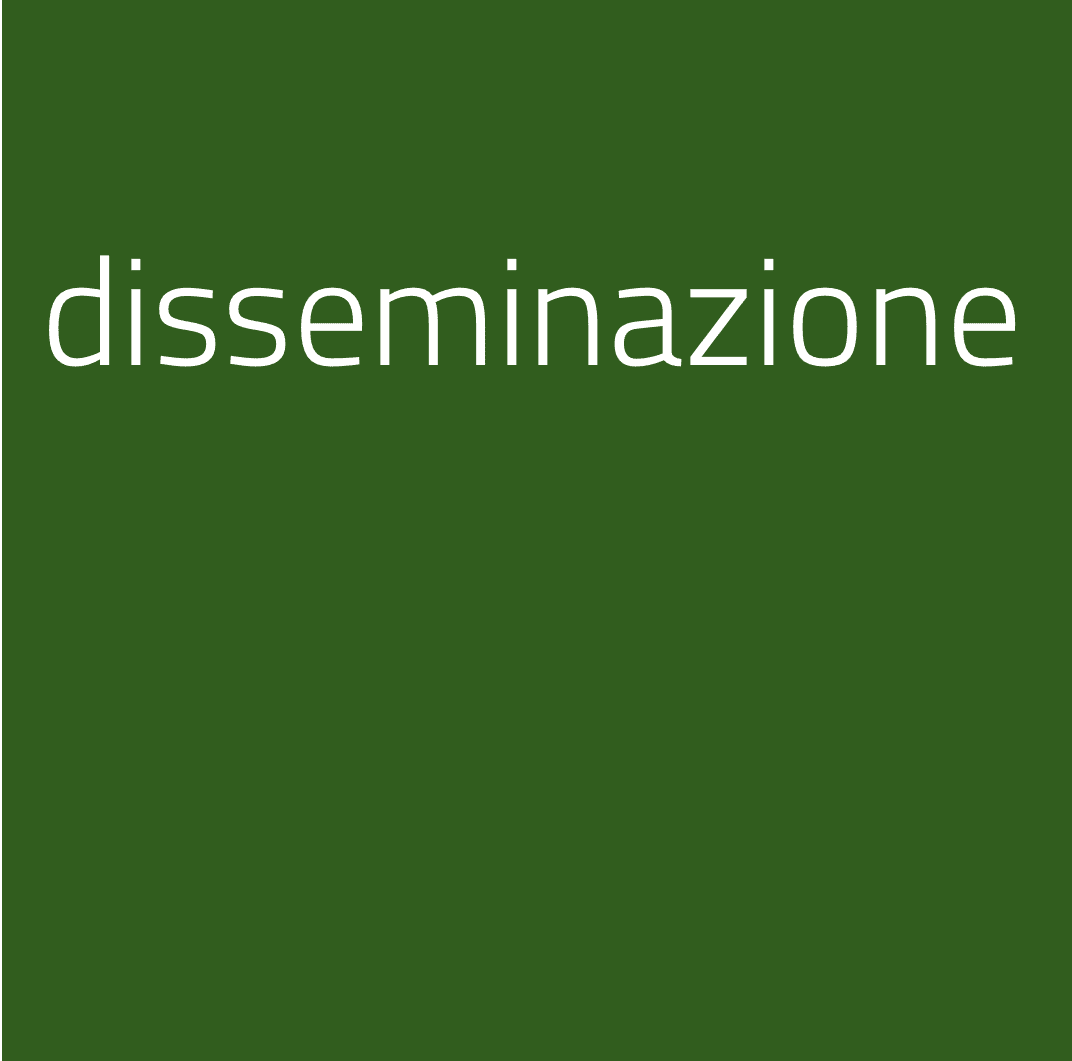 Disseminazione